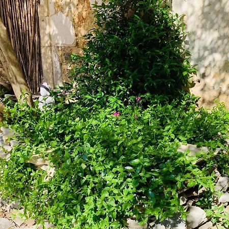 Appartement Avec Jardin Privatif Cazouls-les-Beziers Экстерьер фото