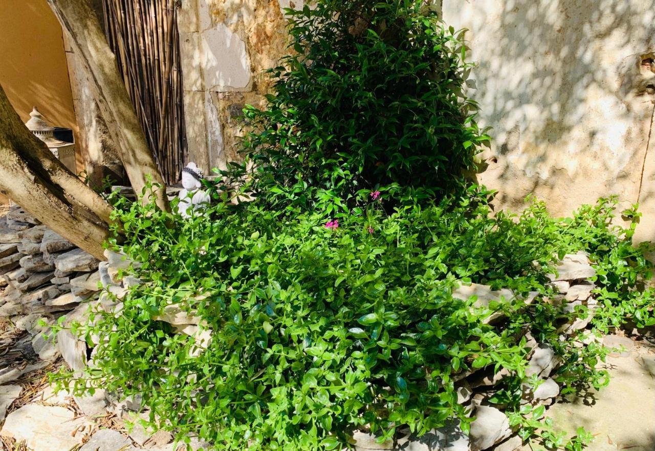 Appartement Avec Jardin Privatif Cazouls-les-Beziers Экстерьер фото