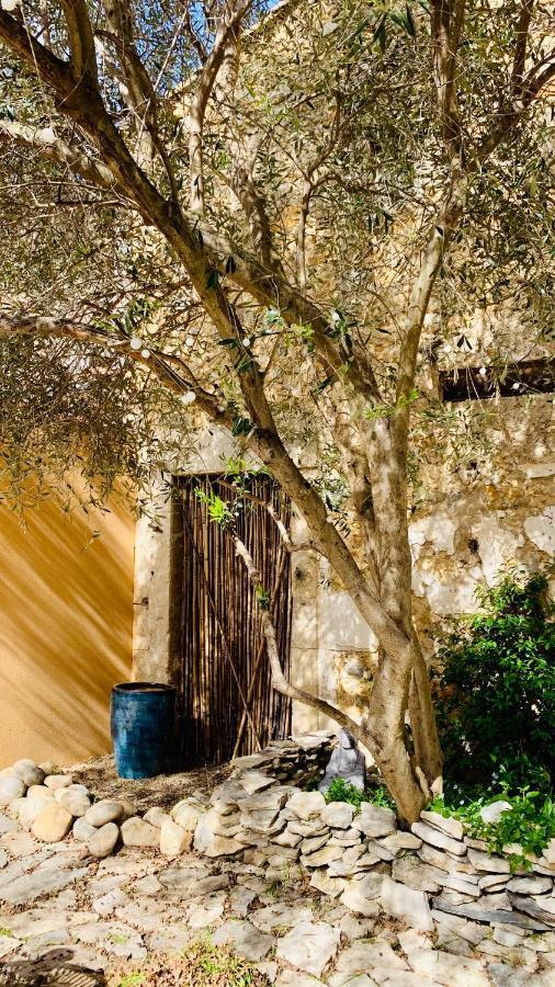 Appartement Avec Jardin Privatif Cazouls-les-Beziers Экстерьер фото